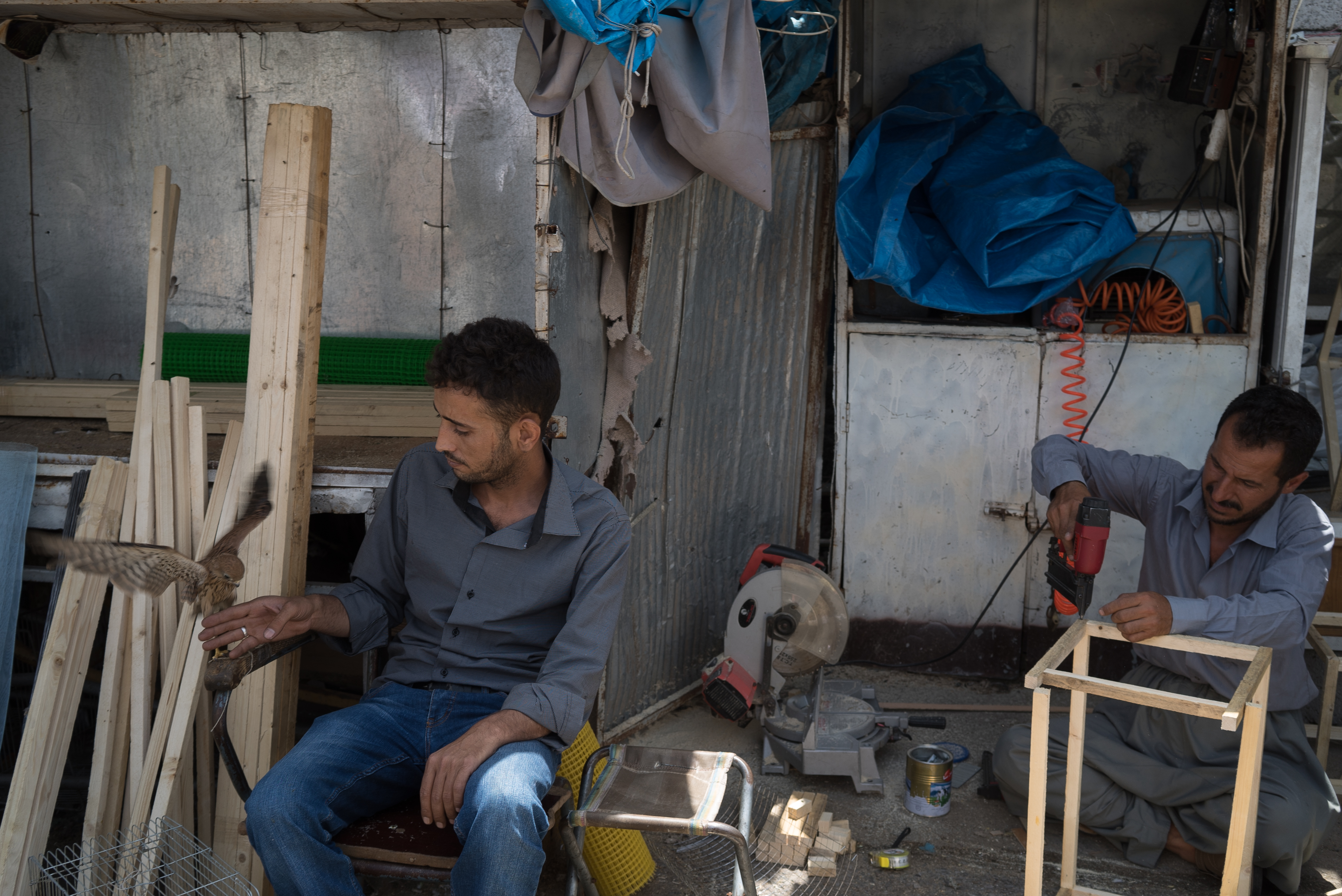 Erbil market for birds and animals, Erbil, Kurdistan Region, June 4, 2016. (Photo: Kurdistan24/Alexandre Afonso)